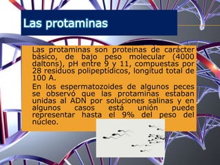  Las protaminas son proteinas de carácter
básico, de bajo peso molecular (4000
daltons), pH entre 9 y 11, compuestas por
28 residuos polipeptídicos, longitud total de
100 A.
 En los espermatozoides de algunos peces
se observó que las protaminas estaban
unidas al ADN por soluciones salinas y en
algunos casos está unión puede
representar hasta el 9% del peso del
núcleo.
 