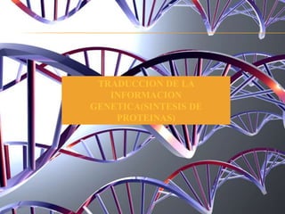 TRADUCCION DE LA
INFORMACION
GENETICA(SINTESIS DE
PROTEINAS)
 