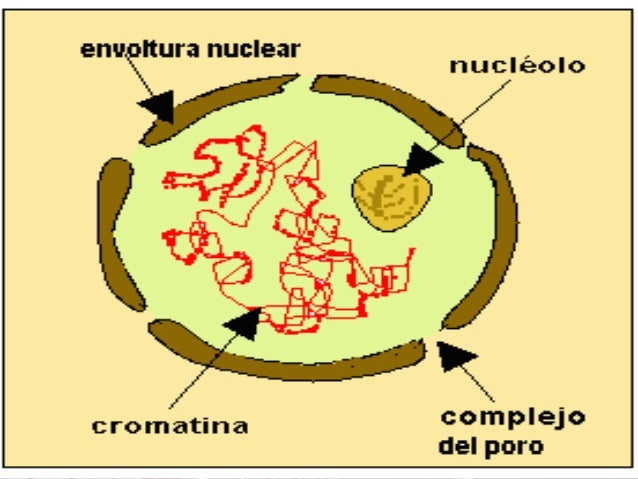 La hipnosis como el método del tratamiento contra el alcoholismo