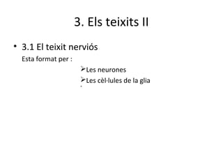 3. Els teixits II
• 3.1 El teixit nerviós
Esta format per :
ØLes neurones
ØLes cèl·lules de la glia
Ø

 