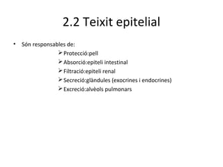 2.2 Teixit epitelial
•

Són responsables de:
Ø Protecció:pell
Ø Absorció:epiteli intestinal
Ø Filtració:epiteli renal
Ø Secreció:glàndules (exocrines i endocrines)
Ø Excreció:alvèols pulmonars

 