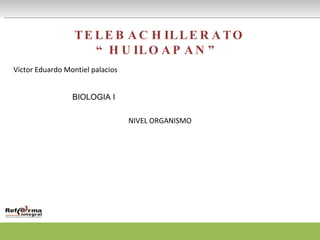 TELEBACHILLERATO “HUILOAPAN” Víctor Eduardo Montiel palacios  BIOLOGIA I NIVEL ORGANISMO 