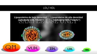 LDL/ HDL
 