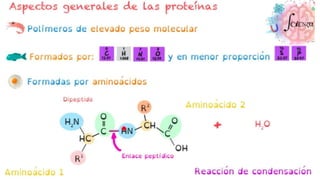 NIVEL QUIMICO Y CELULAR.pptx