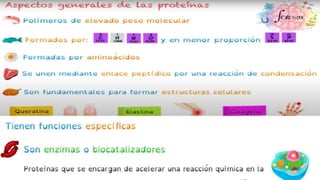 NIVEL QUIMICO Y CELULAR.pptx