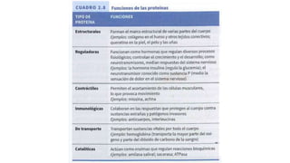 NIVEL QUIMICO Y CELULAR.pptx