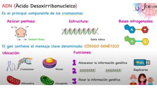 NIVEL QUIMICO Y CELULAR.pptx