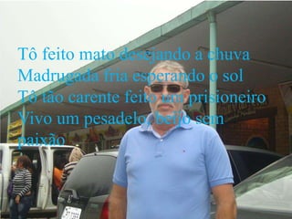 Tô feito mato desejando a chuva
Madrugada fria esperando o sol
Tô tão carente feito um prisioneiro
Vivo um pesadelo, beijo sem
paixão
 