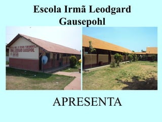 Escola Irmã Leodgard
     Gausepohl




   APRESENTA
 
