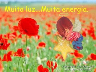 Muita luz...Muita energia.
 