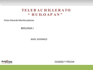 TELEBACHILLERATO “HUILOAPAN” Víctor Eduardo Montiel palacios  BIOLOGIA I CIUDAD Y FECHA NIVEL SISTEMICO 