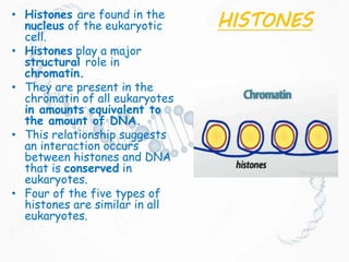 HISTONES• Histones are found in the
nucleus of the eukaryotic
cell.
• Histones play a major
structural role in
chromatin.
• They are present in the
chromatin of all eukaryotes
in amounts equivalent to
the amount of DNA.
• This relationship suggests
an interaction occurs
between histones and DNA
that is conserved in
eukaryotes.
• Four of the five types of
histones are similar in all
eukaryotes.
 