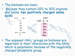 • The histones are basic.
• Because they contain 20% to 30% arginine
and lysine, two positively charged amino
acids.
• The exposed –NH3
+ groups on histones are
important in their interaction with the DNA,
which is polyanionic because of the negatively
charged phosphate group.
 