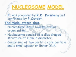 NUCLEOSOME MODEL
• It was proposed by R.D. Kornberg and
confirmed by P.Outdet.
The model states that:
• Nucleosome is the lowest level of
organization.
• Nucleosome consist of a disc shaped
structure of 11nm in diameter.
• Comprising of two parts: a core particle
and a small spacer or linker DNA.
 