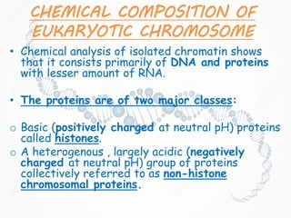 CHEMICAL COMPOSITION OF
EUKARYOTIC CHROMOSOME
• Chemical analysis of isolated chromatin shows
that it consists primarily of DNA and proteins
with lesser amount of RNA.
• The proteins are of two major classes:
o Basic (positively charged at neutral pH) proteins
called histones.
o A heterogenous , largely acidic (negatively
charged at neutral pH) group of proteins
collectively referred to as non-histone
chromosomal proteins.
 