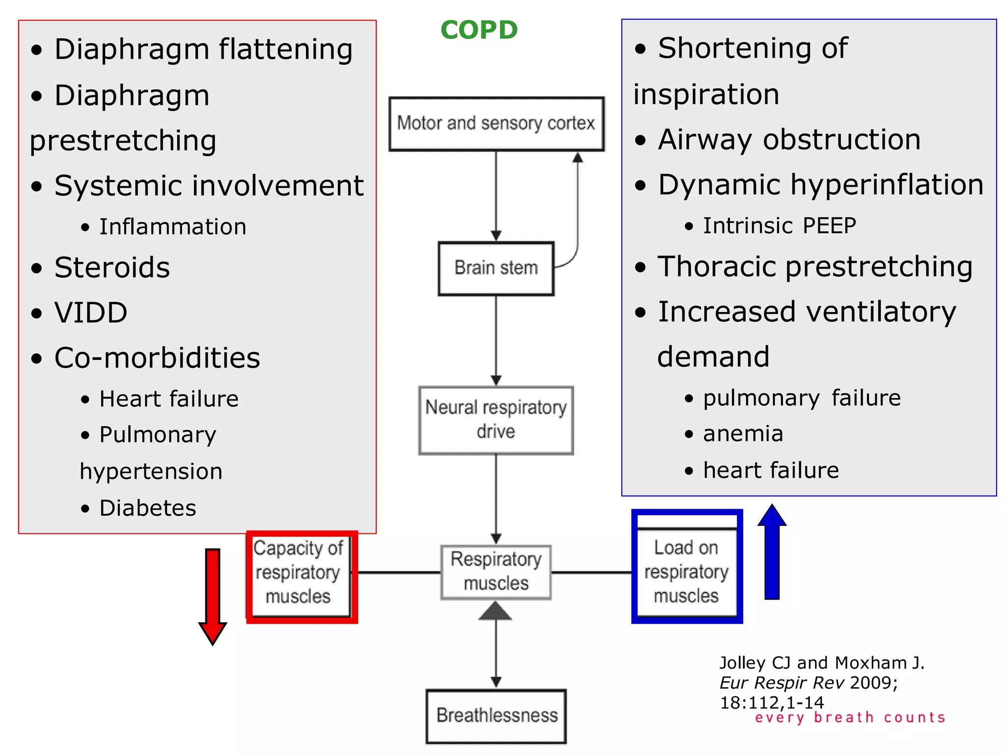 • Diaphragm flattening
• Diaphragm
prestretching
• Systemic involvement
• Inflammation
• Steroids
• VIDD
• Co-morbidities
• Heart failure
• Pulmonary
hypertension
• Diabetes
• Shortening of
inspiration
• Airway obstruction
• Dynamic hyperinflation
• Intrinsic PEEP
• Thoracic prestretching
• Increased ventilatory
demand
• pulmonary failure
• anemia
• heart failure
COPD
Jolley CJ and Moxham J.
Eur Respir Rev 2009;
18:112,1-14
 