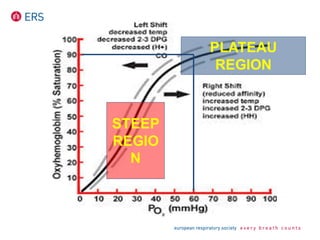 PLATEAU
REGION
STEEP
REGIO
N
 