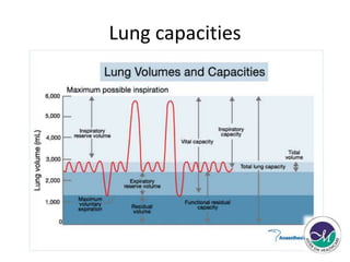 Lung capacities 
 