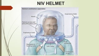 NIV HELMET
 