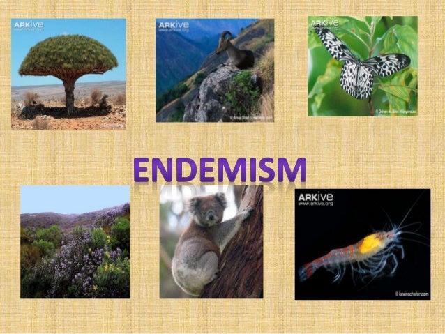 endemism--priyanivi-wcc