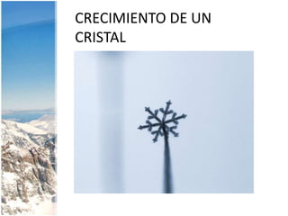 CRECIMIENTO DE UN CRISTAL