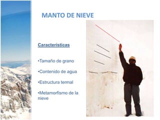 Estrellas: Formas estrelladas con seis ramas.