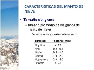 Columnas entre plaquetas: Unión entre ambas formas.