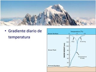 Nieve granulada: Granizo menudo y blando.