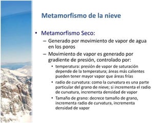 Atributos generales del tipo de granoApariencia: solido, hueco, quebradizo, parcialmente fundido,  redondeado, angularSuperficie: Caras redondeadas, angulosas o estriadas.Interconexión: unidos, no unidos, tamaño, unión, agrupados, número de uniones por grano, textura orientada