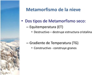TIPO DE GRANOS EN EL MANTO DE NIEVERime on Plate CrystalEarly RoundingFaceted GrowthEarly Sintering (Bonding)Wind-Blown GrainsMelt-Freeze withNo Liquid WaterMelt-Freeze withLiquid WaterFaceted Layer GrowthHollow, Faceted Grain(Depth Hoar)
