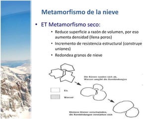CARACTERISTICAS DEL MANTO DE NIEVETamaño del granoTamaño promedio de los granos del manto de nieveSe mide la mayor extensión en mmTerminoTamaño (mm)Muyfino< 0.2Fino0.2 - 0.5Medio0.5 - 1.0Grueso1.0 - 2.0Muygrueso2.0 - 5.0Extremo> 5.0