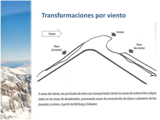 Metamorfismo de la nieveDos tipos de metamorfismo:SecoNo hay agua líquida presenteTemperatura menor que 0oCEstado sólido en equilibrio con vaporHúmedoAgua líquida presenteTemperatura igual a 0oC (usualmente)