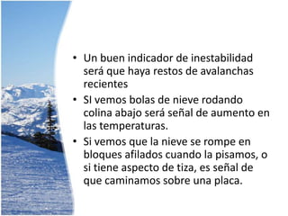 … de nieve polvo.