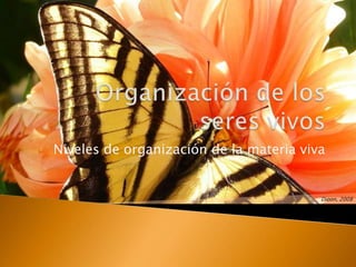 Organización de los seres vivos Niveles de organización de la materia viva Dioon, 2008 
