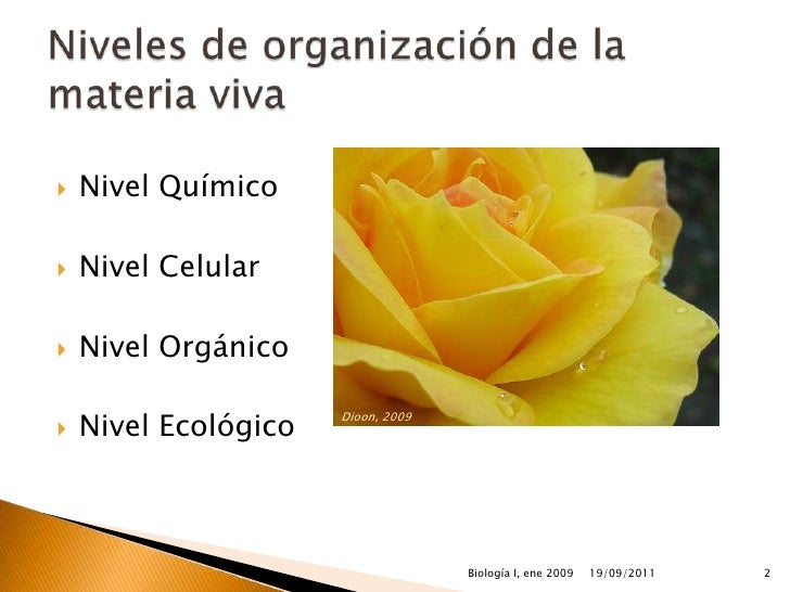 Niveles de organización de la materia viva