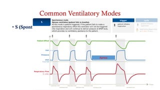 Common Ventilatory Modes
• S (Sponteous)
• S/T (Sponteous-Timed )
• PAC (Pressure Assist Control)
• T (Timed)
Apnea
 