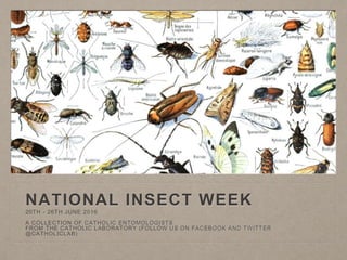 NATIONAL INSECT WEEK
20TH - 26TH JUNE 2016
A COLLECTION OF CATHOLIC ENTOMOLOGISTS
FROM THE CATHOLIC LABORATORY (FOLLOW US ON FACEBOOK AND TWITTER
@CATHOLICLAB)
 