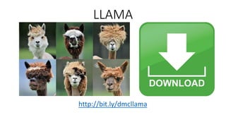 LLAMA
http://bit.ly/dmcllama
 