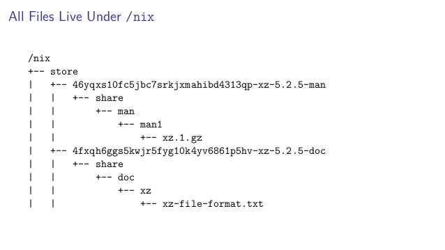 All Files Live Under /nix
/nix
+-- store
| +-- 46yqxs10fc5jbc7srkjxmahibd4313qp-xz-5.2.5-man
| | +-- share
| | +-- man
| | +-- man1
| | +-- xz.1.gz
| +-- 4fxqh6ggs5kwjr5fyg10k4yv6861p5hv-xz-5.2.5-doc
| | +-- share
| | +-- doc
| | +-- xz
| | +-- xz-file-format.txt
 