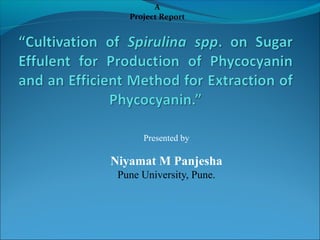 Presented by
Niyamat M Panjesha
Pune University, Pune.
A
Project Report
 