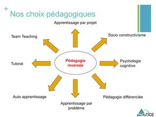 +
Nos choix pédagogiques
Pédagogie
inversée
Socio constructivisme
Apprentissage par
problème
Pédagogie différenciéeAuto apprentissage
Tutorat
Team Teaching
Apprentissage par projet
Psychologie
cognitive
 