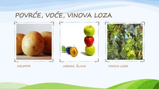 POVRĆE, VOĆE, VINOVA LOZA
KRUMPIR JABUKA, ŠLJIVA VINOVA LOZA
 