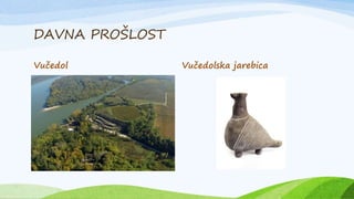 DAVNA PROŠLOST
Vučedol Vučedolska jarebica
 