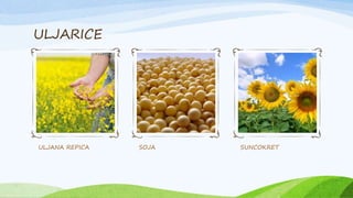 ULJARICE
ULJANA REPICA SOJA SUNCOKRET
 
