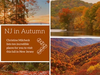 Autumn Scenes - NJ - Christine Milcheck