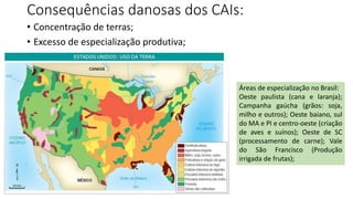 Consequências danosas dos CAIs:
• Concentração de terras;
• Excesso de especialização produtiva;
Áreas de especialização no Brasil:
Oeste paulista (cana e laranja);
Campanha gaúcha (grãos: soja,
milho e outros); Oeste baiano, sul
do MA e PI e centro-oeste (criação
de aves e suínos); Oeste de SC
(processamento de carne); Vale
do São Francisco (Produção
irrigada de frutas);
 