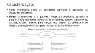 Caracterização:
• Plena integração entre as atividades agrícolas e pecuárias às
atividades industriais;
• Efeitos a montante e a jusante. Antes da produção agrícola e
pecuária, são acionadas indústrias de máquinas, adubos, agrotóxicos,
vacinas, rações, arames para cercas, etc. Depois da colheita e do
abate a produção é voltada para industrias de beneficiamento;
 