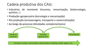 Cadeia produtiva dos CAIs:
• Industrias de montante (Insumos, mecanização, biotecnologia,
química...)
• Produção agropecuária (tecnologia e mecanização)
• Pós produção (armazenagem, transporte e comercialização)
• Ao longo do processo (Atividades complementares)
Indústria a
montante
Produção
agropecuária
Pós-produção
Transporte, energia, comunicações, administração, marketing, vendas, seguros, etc..
 