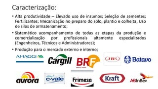 Caracterização:
• Alta produtividade – Elevado uso de insumos; Seleção de sementes;
Fertilizantes; Mecanização no preparo do solo, plantio e colheita; Uso
de silos de armazenamento;
• Sistemático acompanhamento de todas as etapas da produção e
comercialização por profissionais altamente especializados
(Engenheiros, Técnicos e Administradores);
• Produção para o mercado externo e interno;
 