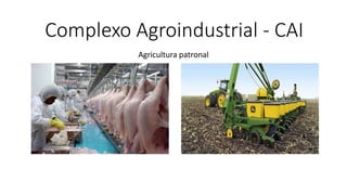 Complexo Agroindustrial - CAI
Agricultura patronal
 